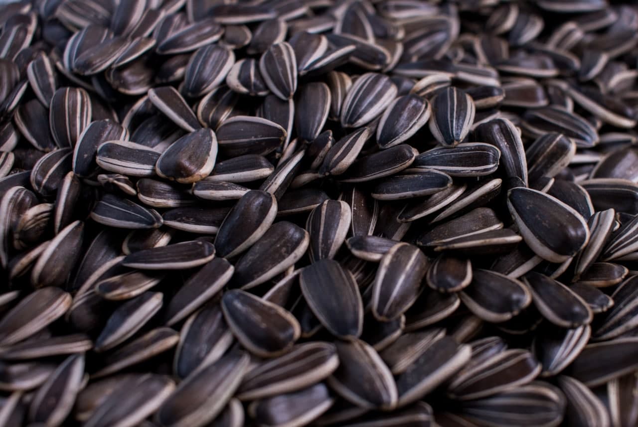 Насіння соняшника