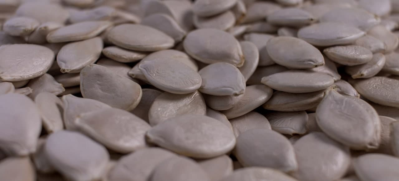 Гарбузове насіння