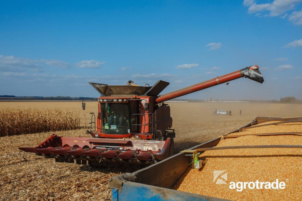 Група АГРОТРЕЙД планує збільшити площу посівів під озимою пшеницею grupa agrotrejd planuye zbilshyty ploshhu posiviv pid ozymoyu pshenyczeyu 1