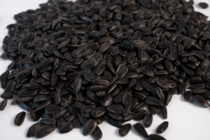 Лакомка Соняшник 