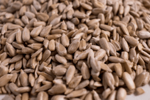 Ядро соняшника