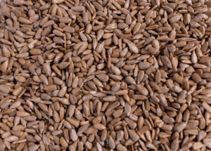 Ядро соняшника