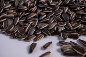 Соняшник Рейна