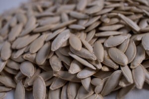 Гарбузове насіння Болгарка