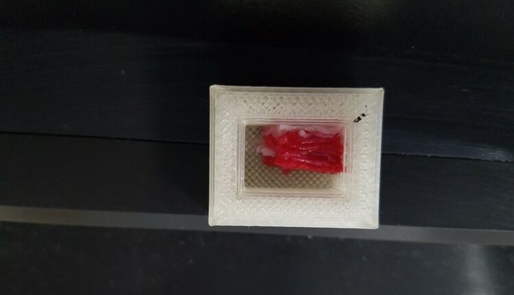 Озвучено ціну на мармурову яловичину з 3D-принтера ozvucheno czinu na marmurovu yalovychynu z 3d pryntera