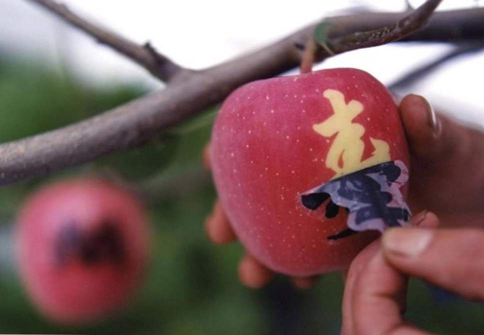 Озвучено, де фрукти коштують, як золото ozvucheno de frukty koshtuyut yak zoloto 11