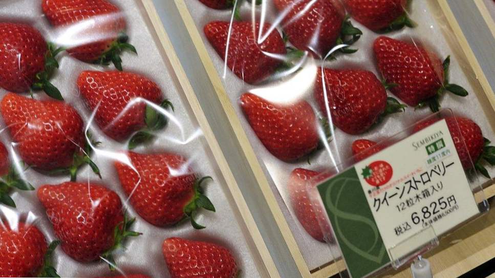 Озвучено, де фрукти коштують, як золото ozvucheno de frukty koshtuyut yak zoloto 4