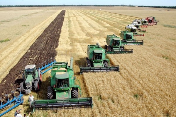 Стало відомо подробиці про держпідтримку аграріїв stalo vidomo podrobyczi pro derzhpidtrymku agrariyiv