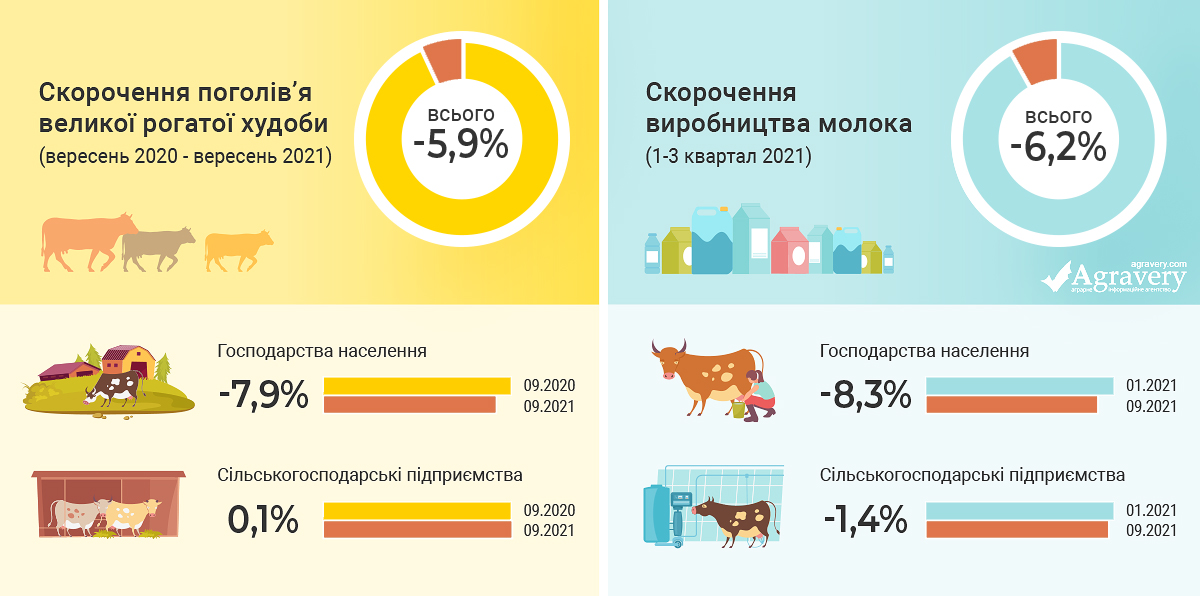 Стало відомо, як уникнути фальсифікату масла: відверті деталі stalo vidomo yak unyknuty falsyfikatu masla vidverti detali