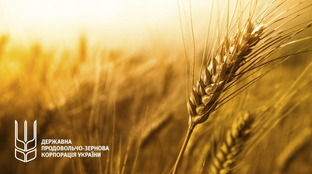 Державна продовольчо-зернова корпорація України змінила порядок закупівлі зернових derzhavna prodovolcho zernova korporacziya ukrayiny zminyla poryadok zakupivli zernovyh