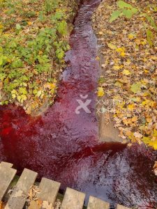 На Харківщині зафіксовано екологічну катастрофу na harkivshhyni zafiksovano ekologichnu katastrofu