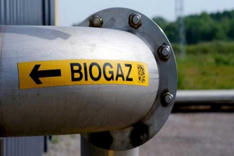 На Вінниччині будують завод, який перероблятиме відходи на біогаз na vinnychchyni buduyut zavod yakyj pereroblyatyme vidhody na biogaz