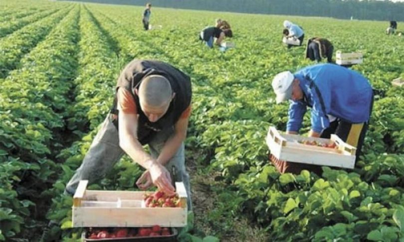 Польща хоче спростити отримання «карти перебування» для працівників із України polshha hoche sprostyty otrymannya karty perebuvannya dlya praczivnykiv iz ukrayiny
