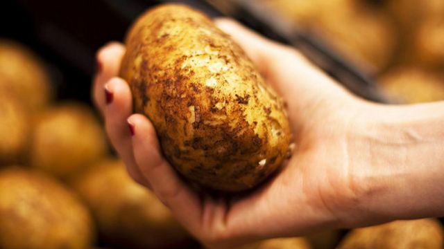 Стало відомо, чому в Україні подорожчала картопля stalo vidomo chomu v ukrayini podorozhchala kartoplya