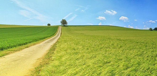 Стало відомо, чи реально зараз безкоштовно отримати законні 2 га землі в Україні stalo vidomo chy realno zaraz bezkoshtovno otrymaty zakonni 2 ga zemli v ukrayini