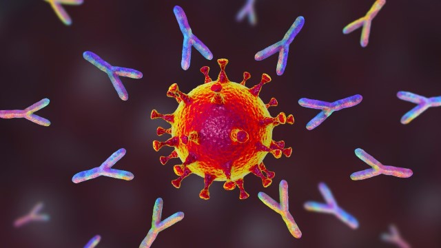 Лікарі назвали напої, які необхідно пити після COVID-19 3 Лікарі назвали напої, які необхідно пити після COVID-19 likari nazvaly napoyi yaki neobhidno pyty pislya covid 19