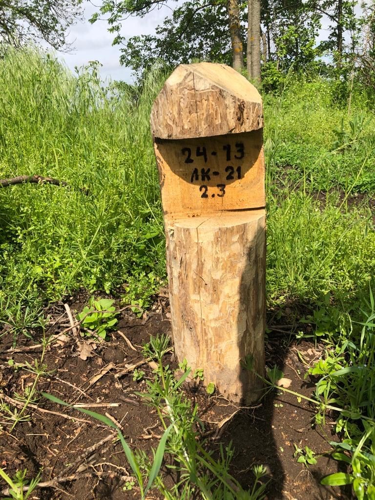 На Вінниччині затримано працівників лісгоспу за вирубку дерев в особливо крупних розмірах na vinnychchyni zatrymano praczivnykiv lisgospu za vyrubku derev v osoblyvo krupnyh rozmirah 2