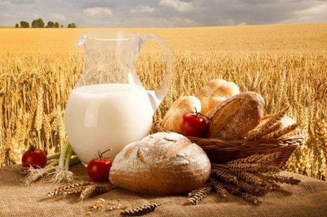 Оприлюднено ТОП-10 постачальників агропродукції до України 5 Оприлюднено ТОП-10 постачальників агропродукції до України oprylyudneno top 10 postachalnykiv agroprodukcziyi do ukrayiny