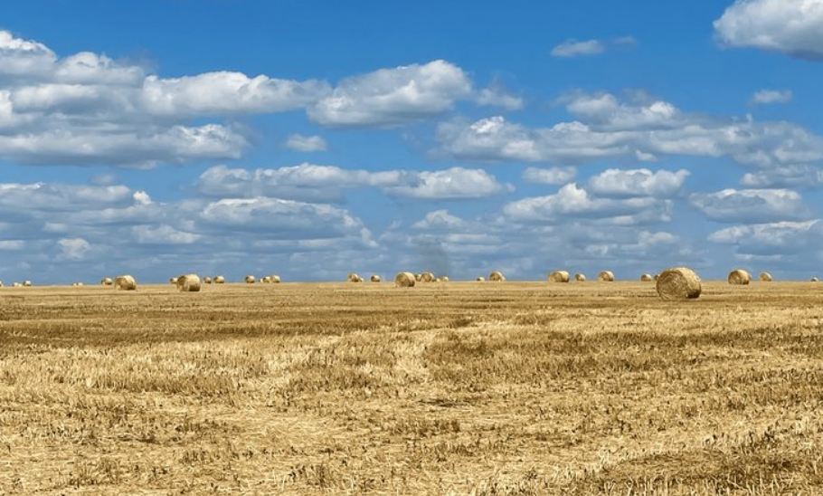 Аграрії Одещини вимушені продавати зерно за безцінь 1 Аграрії Одещини вимушені продавати зерно за безцінь agrariyi odeshhyny vymusheni prodavaty zerno za bezczin