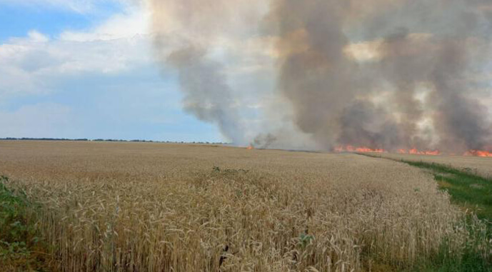 На Харківщині через обстріли згоріло 240 га зернових na harkivshhyni cherez obstrily zgorilo 240 ga zernovyh