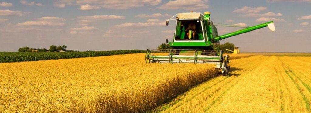 Названо регіон, який намолотить стільки ж зерна, як і минулого року nazvano region yakyj namolotyt stilky zh zerna yak i mynulogo roku