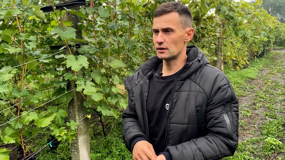 На Чернігівщині чоловік виростив понад півтори тонни винограду na chernigivshhyni cholovik vyrostyv ponad pivtory tonny vynogradu