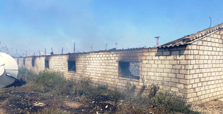 На Донеччині внаслідок воєнних дій знищено 154 агропідприємства 1 На Донеччині внаслідок воєнних дій знищено 154 агропідприємства na donechchyni vnaslidok voyennyh dij znyshheno 154 agropidpryyemstva