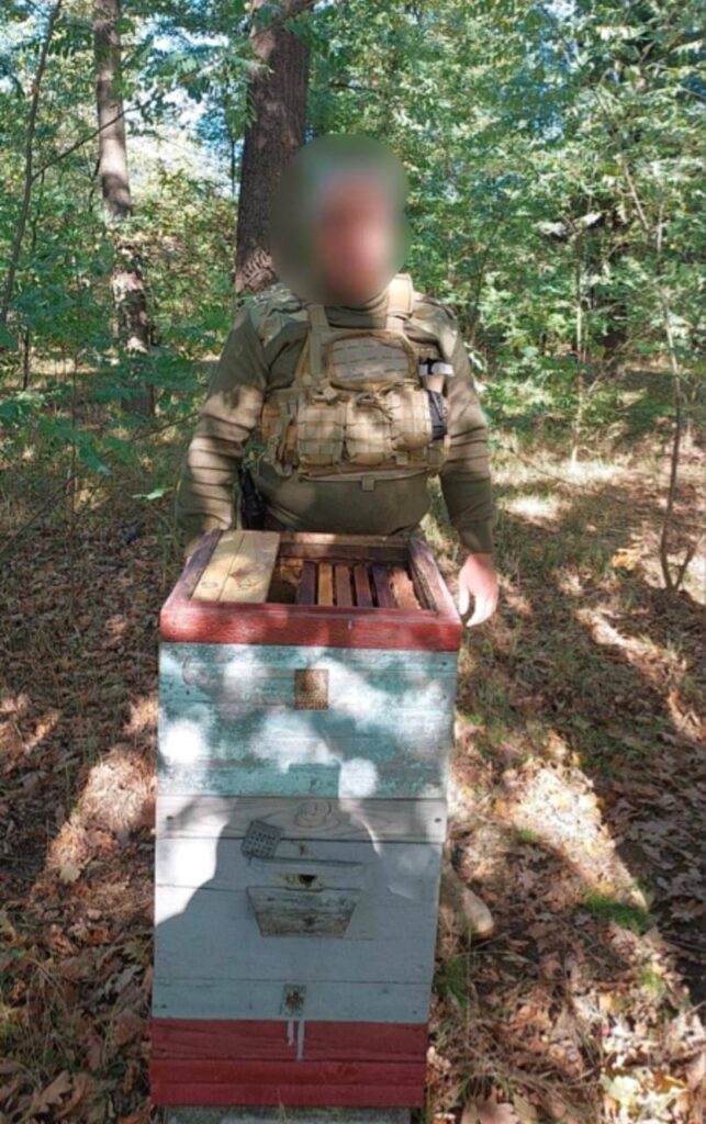 На Київщині бджоли знешкодили замінований вулик na kyyivshhyni bdzholy zneshkodyly zaminovanyj vulyk 1