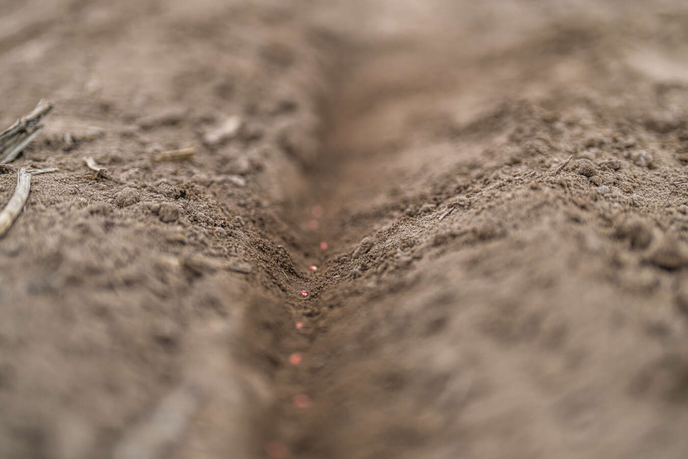 Сівалка Proceed може знизити норму висіву пшениці вдвічі 2 Сівалка Proceed може знизити норму висіву пшениці вдвічі sivalka proceed mozhe znyzyty normu vysivu pshenyczi vdvichi 2
