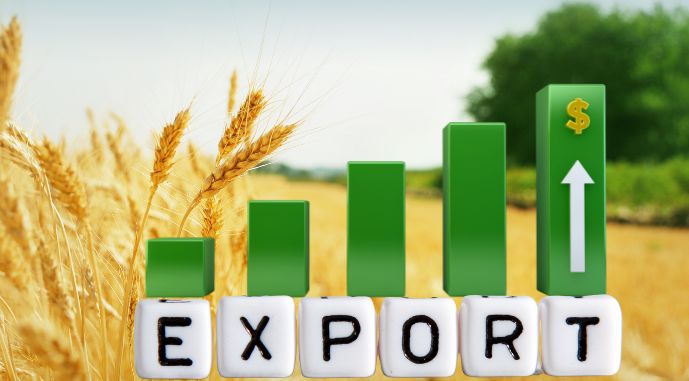 Україна просить ЄС продовжити експорт агропродукції на кілька років 5 Україна просить ЄС продовжити експорт агропродукції на кілька років ukrayina prosyt yes prodovzhyty eksport agroprodukcziyi na kilka rokiv