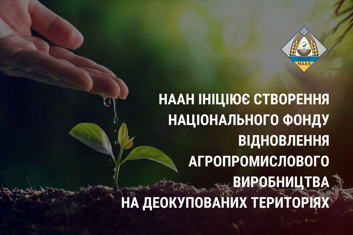 В Україні створюють Національного фонду відновлення агровиробництва на деокупованих територіях 1 В Україні створюють Національного фонду відновлення агровиробництва на деокупованих територіях v ukrayini stvoryuyut naczionalnogo fondu vidnovlennya agrovyrobnycztva na deokupovanyh terytoriyah