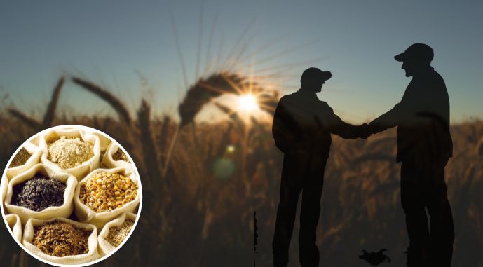 Ліквідовано масштабну корупційну схему у ході експорту зерна 1 Ліквідовано масштабну корупційну схему у ході експорту зерна likvidovano masshtabnu korupczijnu shemu u hodi eksportu zerna