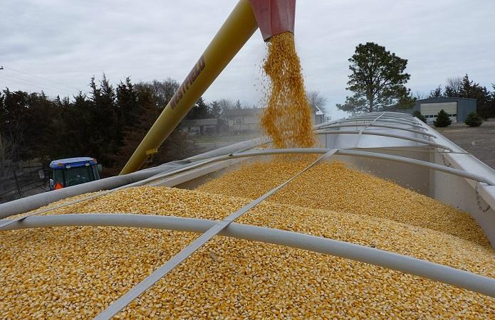 З українських портів вийшла мінімальна кількість кораблів із зерном: причини z ukrayinskyh portiv vyjshla minimalna kilkist korabliv iz zernom prychyny