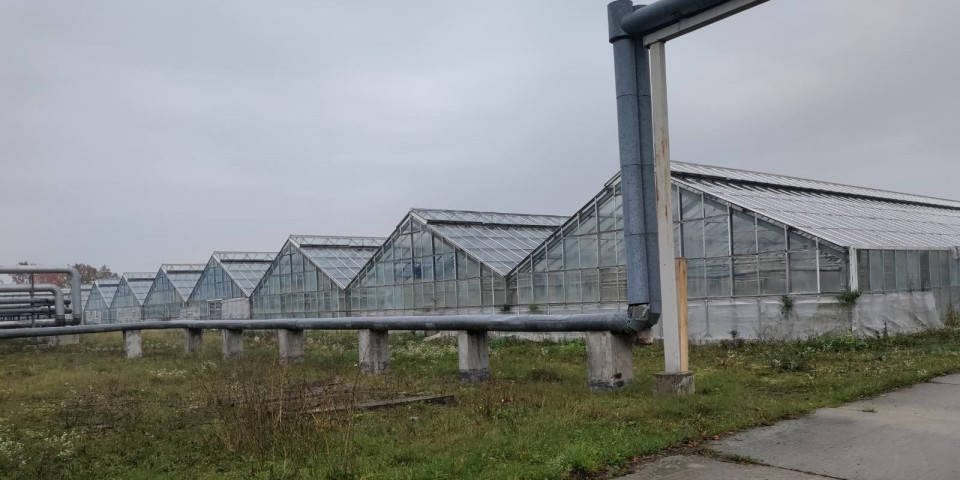 На Прикарпатті виставили на приватизацію державні теплиці na prykarpatti vystavyly na pryvatyzacziyu derzhavni teplyczi
