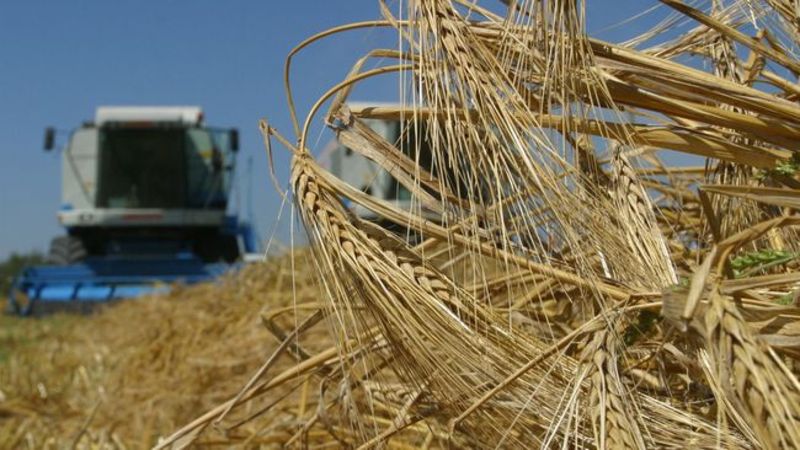 Озвучено ключові програми підтримки агросектору у 2023 році 5 Озвучено ключові програми підтримки агросектору у 2023 році ozvucheno klyuchovi programy pidtrymky agrosektoru u 2023 roczi