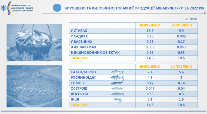 Українські акваферми за час війни виростили майже 15 тис т риби 1 Українські акваферми за час війни виростили майже 15 тис т риби ukrayinski akvafermy za chas vijny vyrostyly majzhe 15 tys t ryby