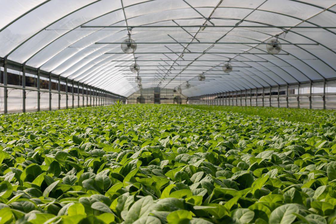 8 агропідприємств отримали 25 мільйонів гривень грантової допомоги 8 agropidpryyemstv otrymaly 25 miljoniv gryven grantovoyi dopomogy