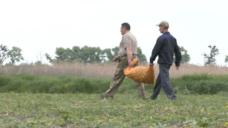 САДЯТЬ КАРТОПЛЮ НА ПОТРЕБИ ЛІКАРНІ САДЯТЬ КАРТОПЛЮ НА ПОТРЕБИ ЛІКАРНІ