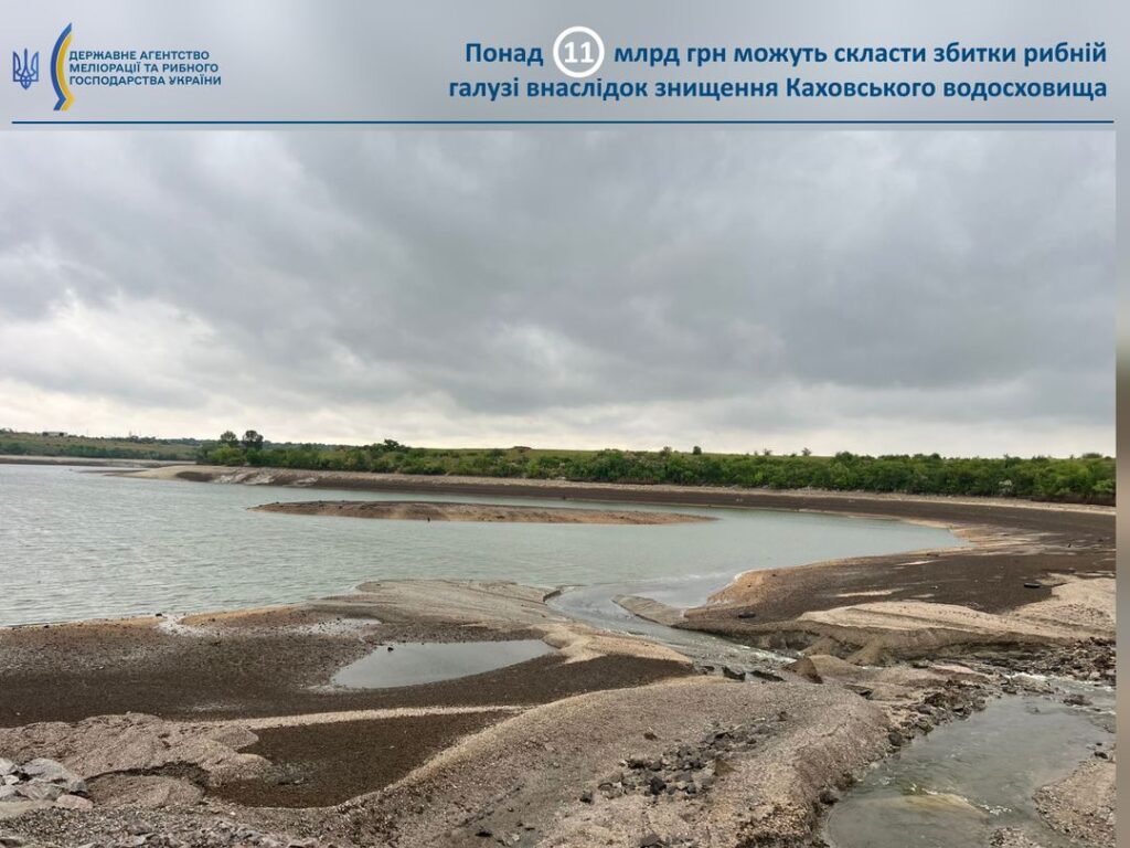 Збитки рибної галузі на Півдні оцінюють у понад 11 млрд грн zbytky rybnoyi galuzi na pivdni oczinyuyut u ponad 11 mlrd grn