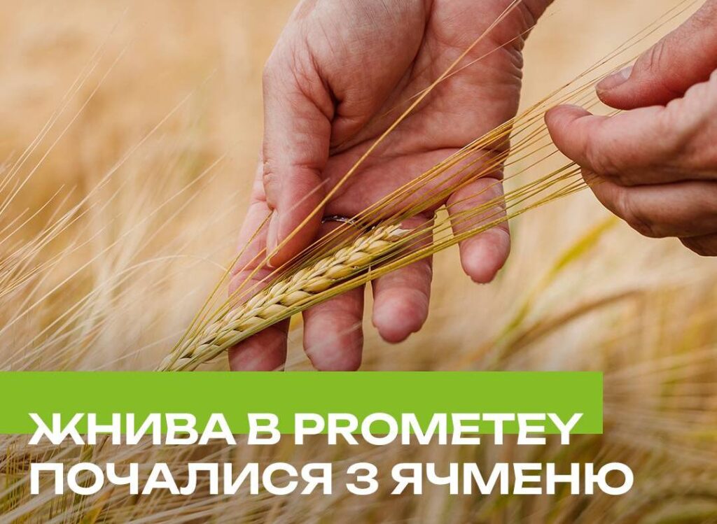 Жнива в Прометея почалися з ячменю 15 Жнива в Прометея почалися з ячменю zhnyva v prometeya pochalysya z yachmenyu