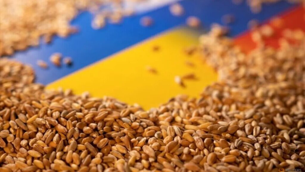 Експортна криза: замість зерна українські фермери можуть виробляти біогаз чи біопаливо eksportna kryza zamist zerna ukrayinski fermery mozhut vyroblyaty biogaz chy biopalyvo