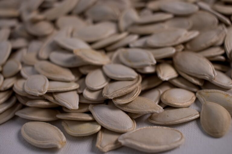 лабораторне дослідження зразка