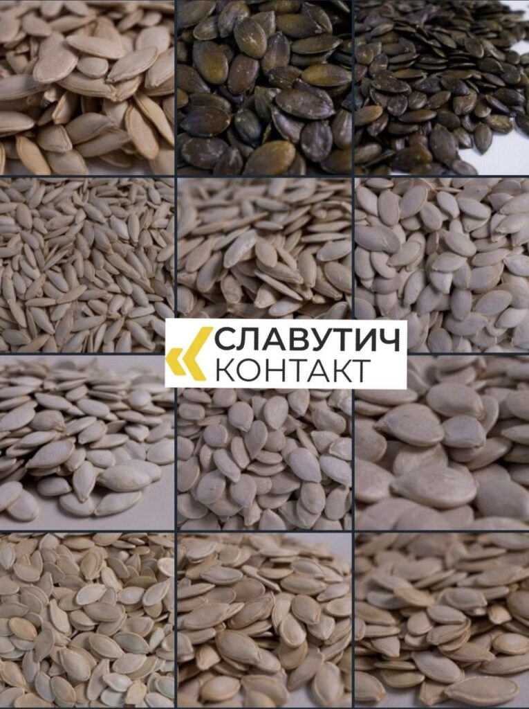 Закупівля насіння - ПП Славутич Контакт