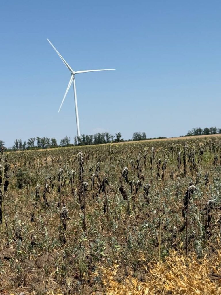 Вітряк на фоні аграрних угідь, посуха південь.