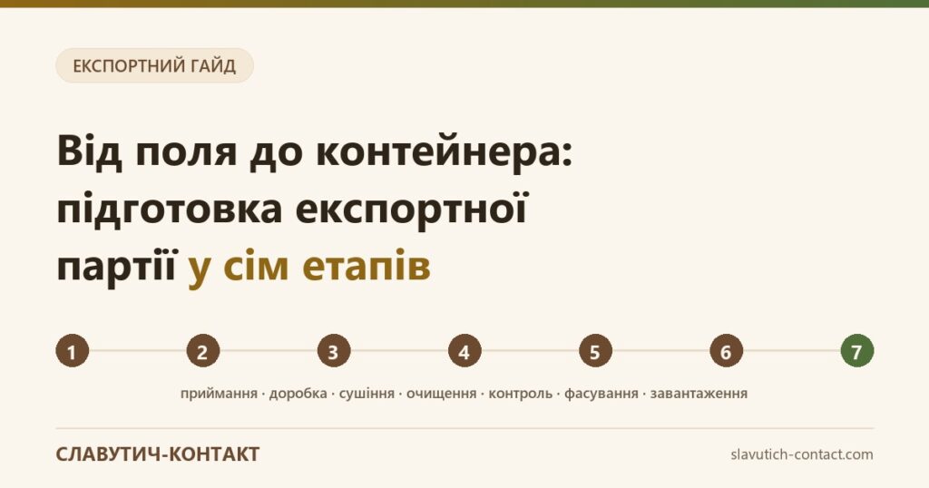 Сім етапів підготовки експортної партії насіння: від приймання сировини до завантаження контейнера