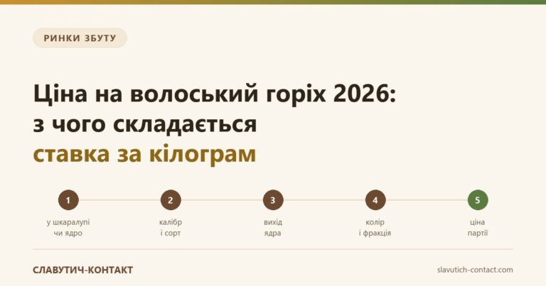 Ціна на волоський горіх 2026: ланцюг чинників ставки за кілограм — у шкаралупі чи ядро, калібр і сорт, вихід ядра, колір і фракція, ціна партії