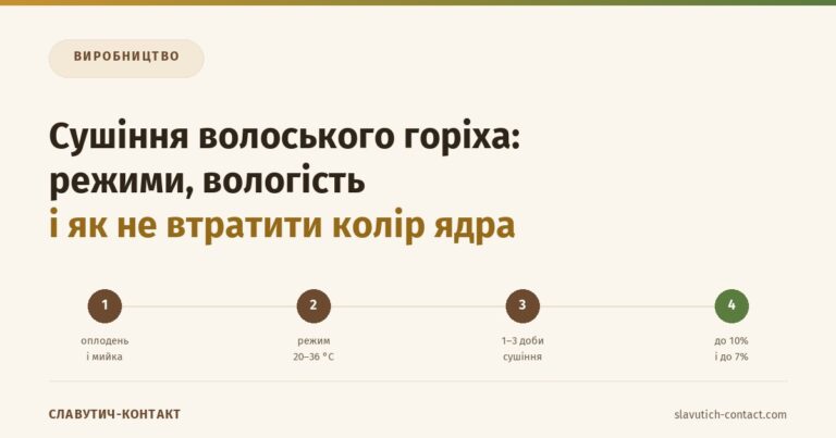 Сушіння волоського горіха: ланцюг від оплодня й мийки через режим сушіння до кольору ядра